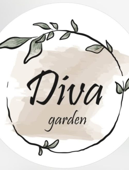 IMG_20260213_234211_670